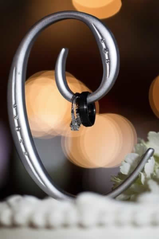 Stroudsmoor Country Inn - Stroudsburg - Poconos - Real Weddings - Wedding Rings