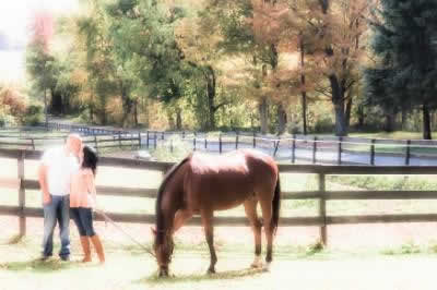 Stroudsmoor Country Inn - Stroudsburg - Poconos - Real Weddings - Newlyweds With Horse