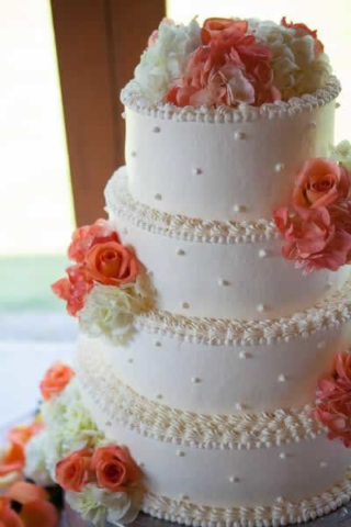 Stroudsmoor Country Inn - Stroudsburg - Poconos - Real Weddings - Wedding Cake