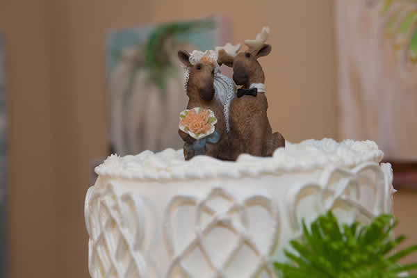 Stroudsmoor Country Inn - Stroudsburg - Poconos - Real Weddings - Wedding Cake With Cute Deer Topper