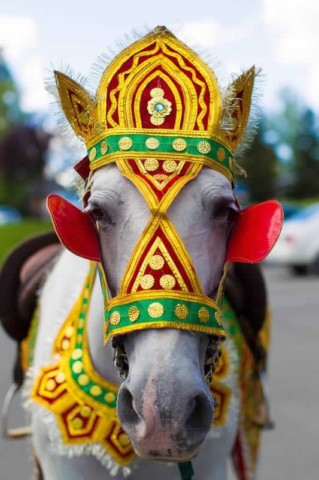 Stroudsmoor Country Inn - Stroudsburg - Indian Wedding - Poconos - Horse in Costume