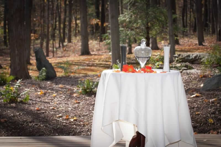 Stroudsmoor Country Inn - Stroudsburg - Poconos - Woodlands Outdoor Wedding - Outdoor Table Setting