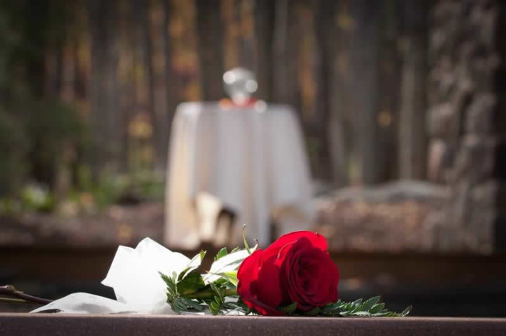 Stroudsmoor Country Inn - Stroudsburg - Poconos - Woodlands Outdoor Wedding - Single Rose