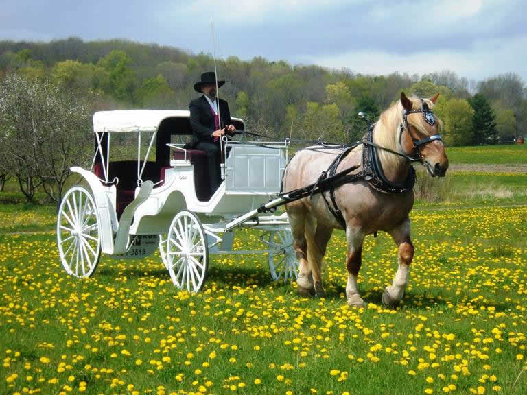 Horse and carriage