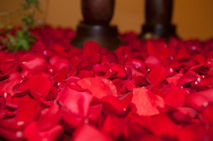 close up of red rose petals in a pile
