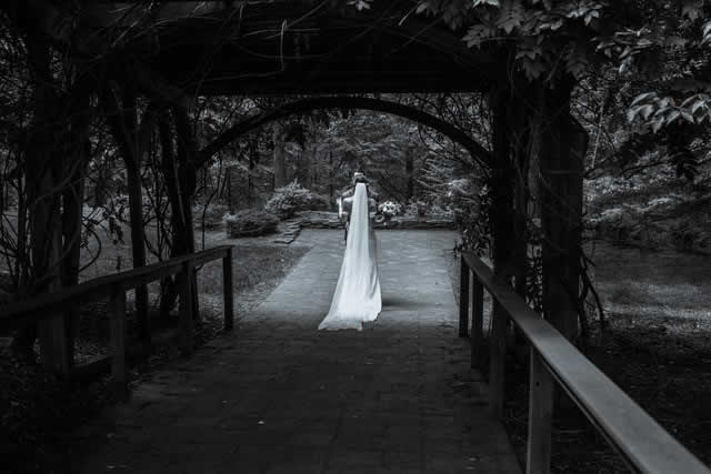 Wedding couple kissing under gazebo Wedding couple kissing under gazebo