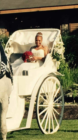Bride in a horse drawn carriage