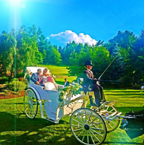 Wedding couple in a horse drawn carriage