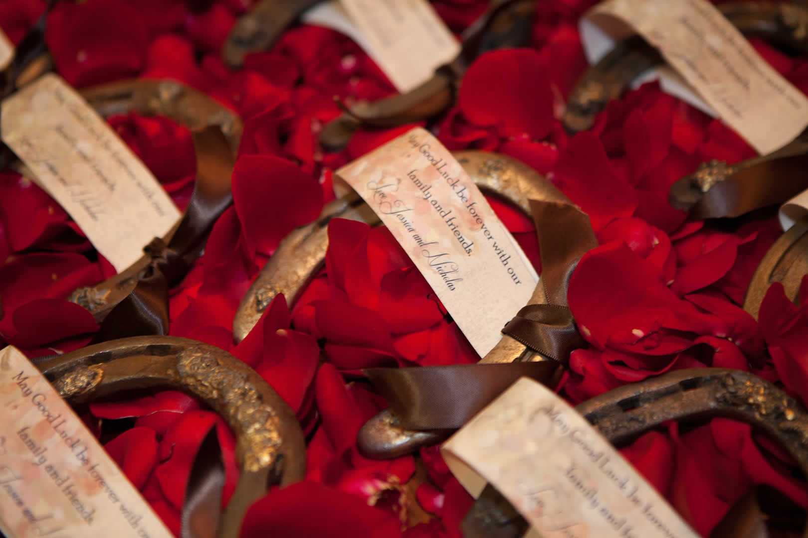 Horse shoes with beautiful quote terraview