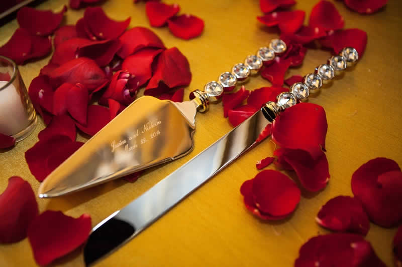 Wedding cake knife and server terraview