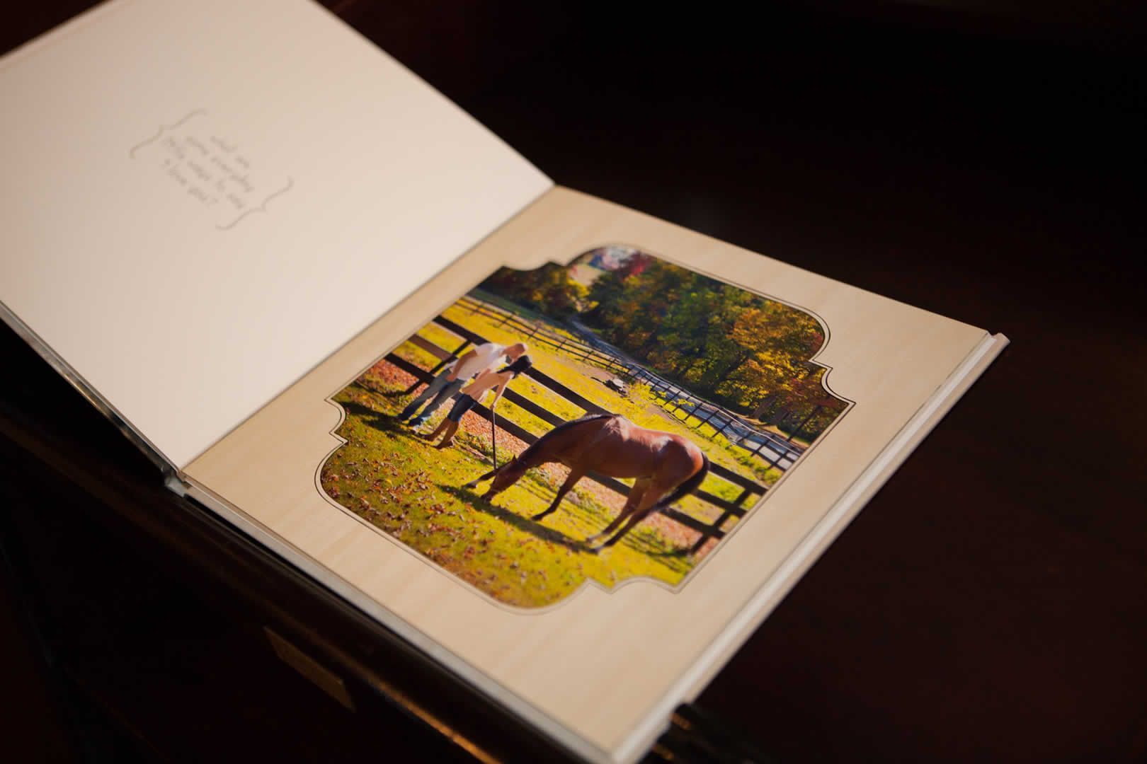 Photo album decor terraview