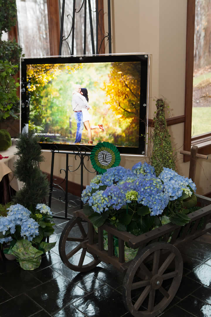 Slide show of wedding couple terraview