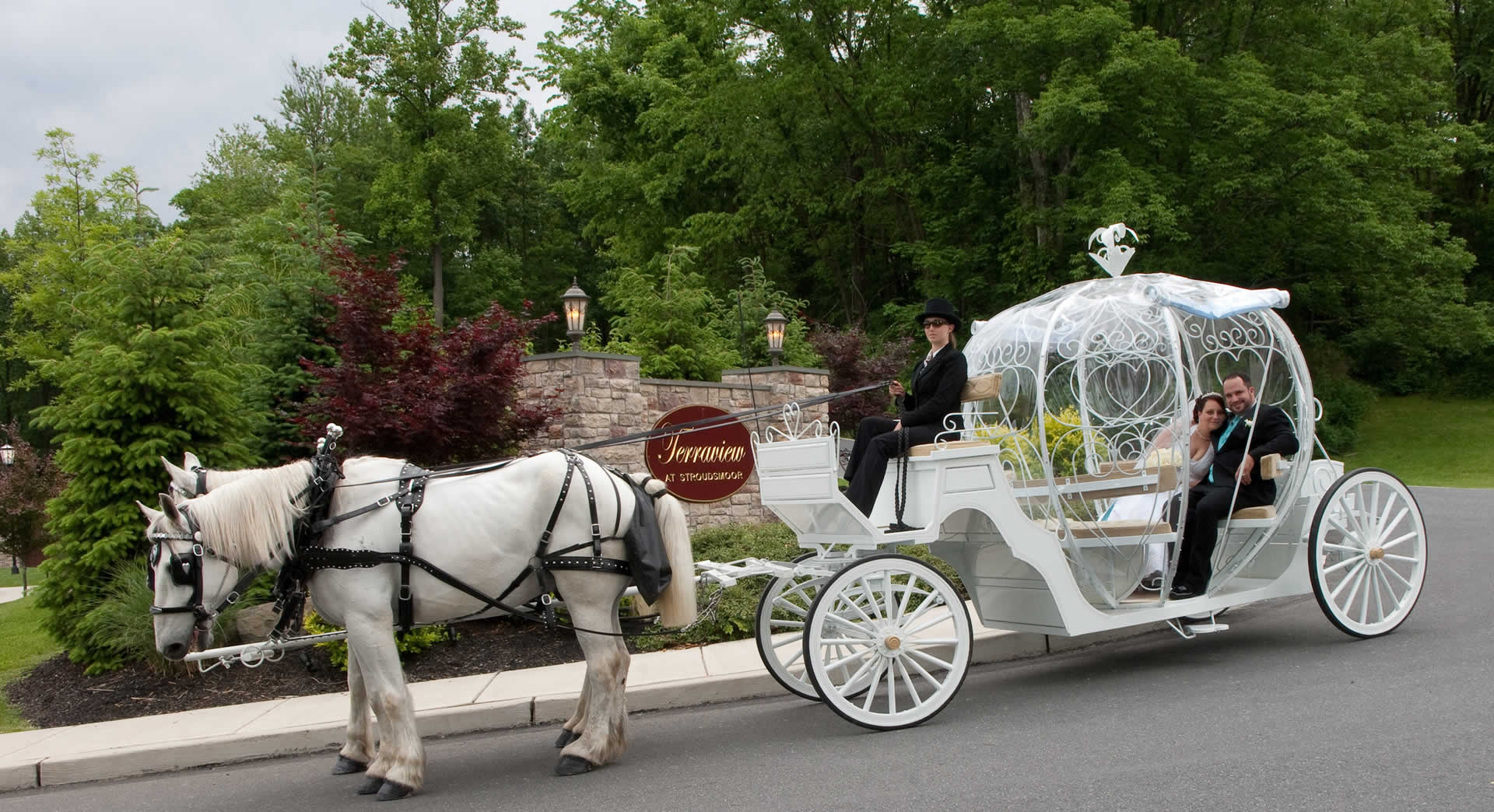 Horse and carriage terraview