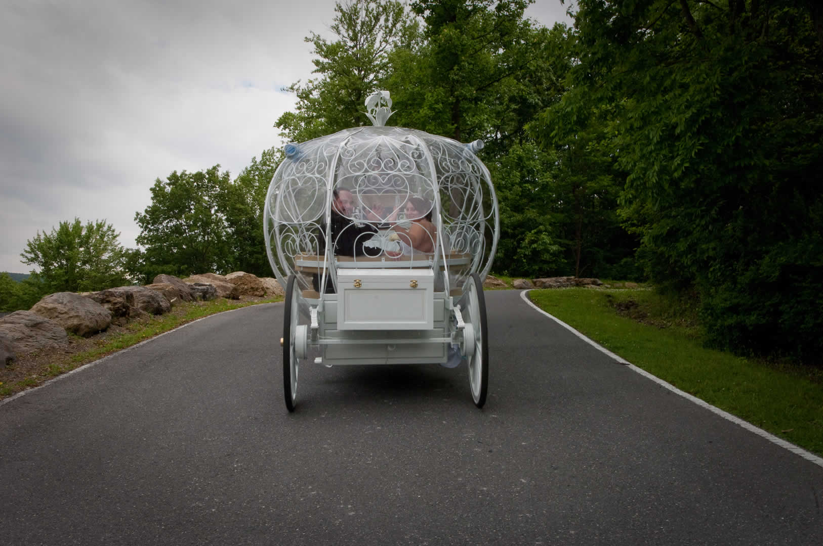 Wedding couple in horse and carriage terraview