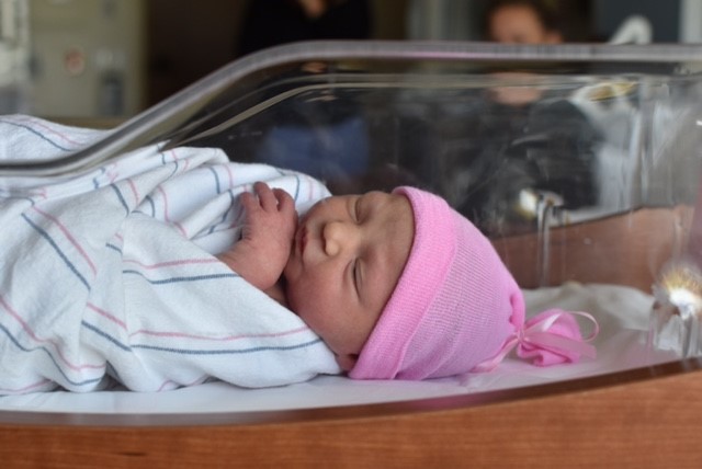 Newborn baby girl sleeps in hospital bassinet