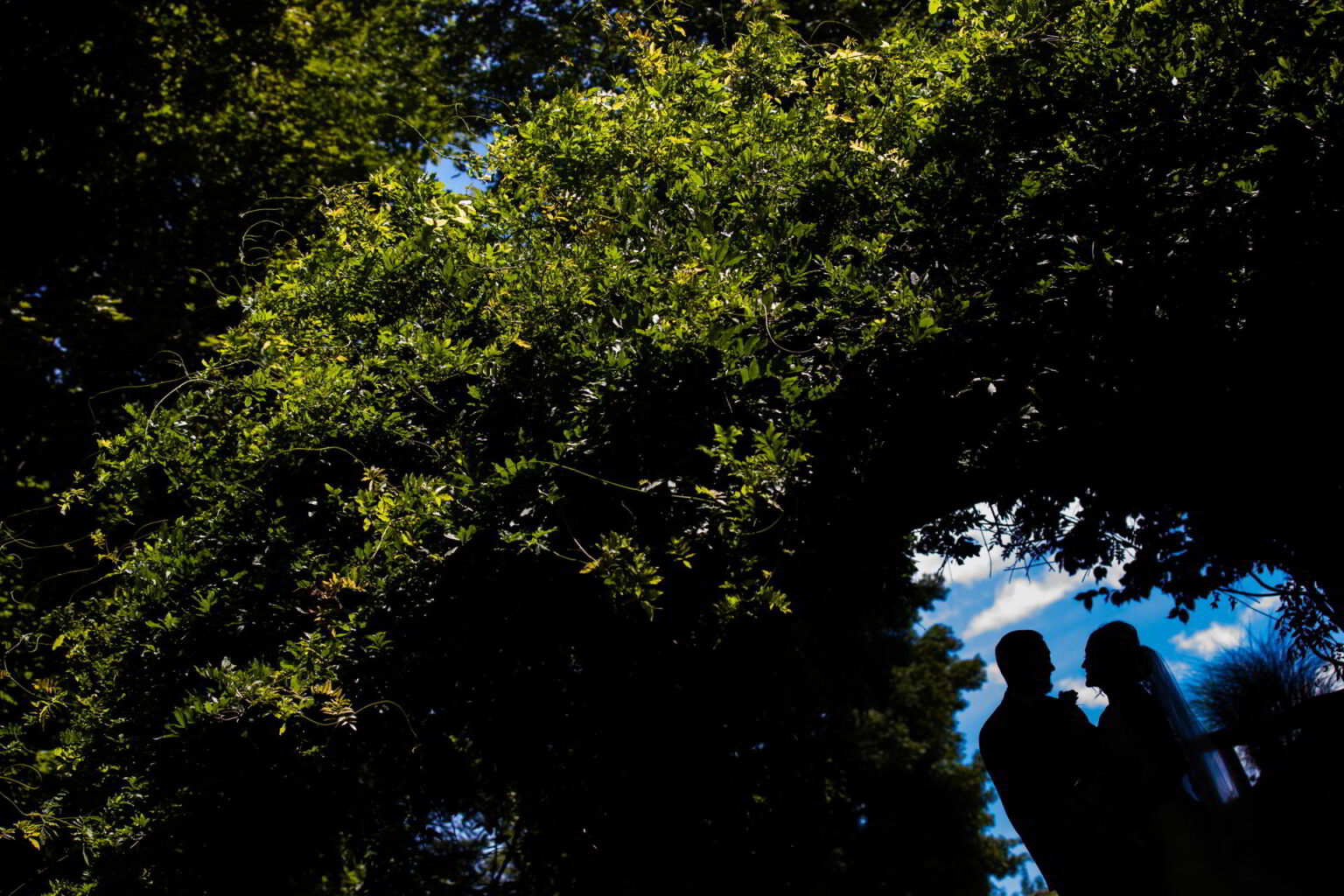 str-auradell-wedding-venue-003